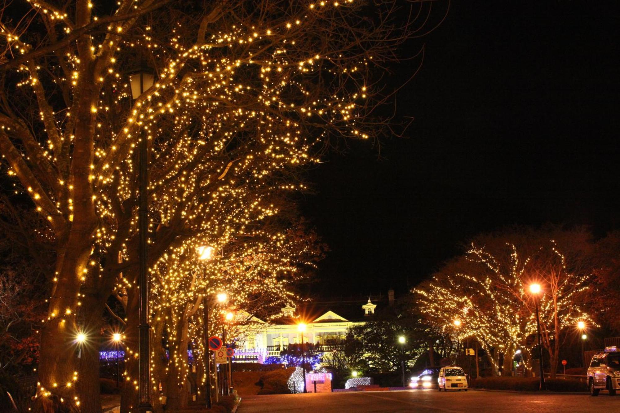 Hakodate Kokusai Hotel Kültér fotó